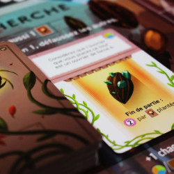 Apiary - Stonemaier Games - Jeu de société | IPA Gameshop