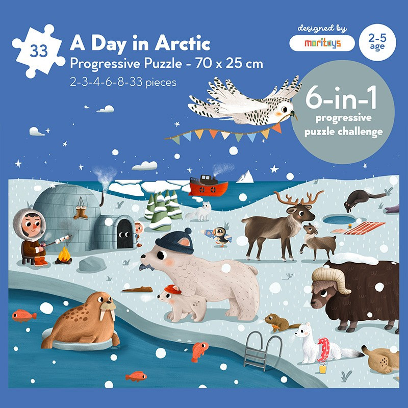 A Day in Arctic Puzzle