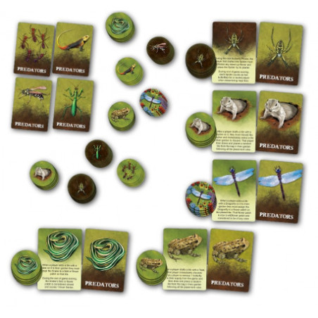 Papillon: Beyond the Meadow - Board Game | IPA Game Shop