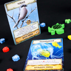 Evolution - New World - Kolossal Games - Board game | IPA Gameshop