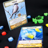 Evolution - New World - Kolossal Games - Board game | IPA Gameshop